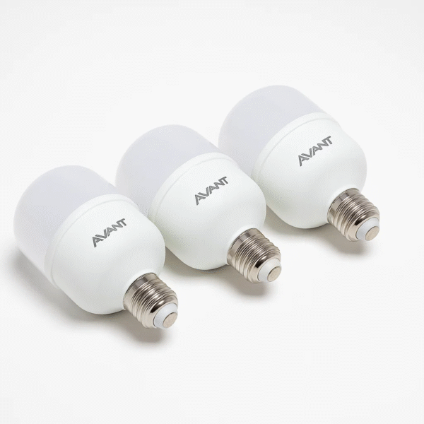 Kit Lâmpadas LED Bulbo 20w