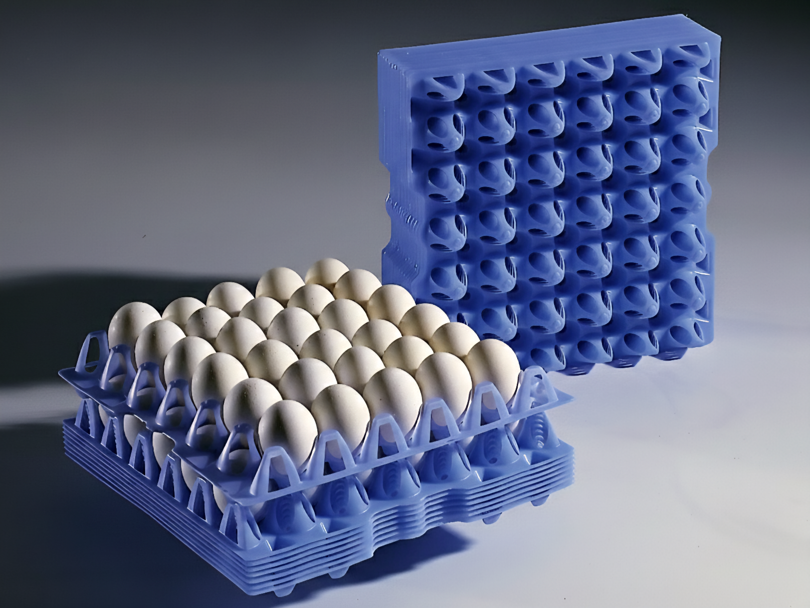 Bandeja para Ovos - Imagem 2